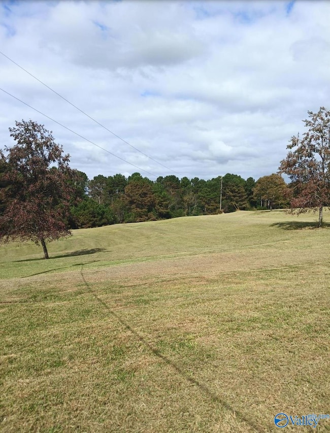 29.1 acres W County Highway 73, Hamilton, AL 35570 - photo 2