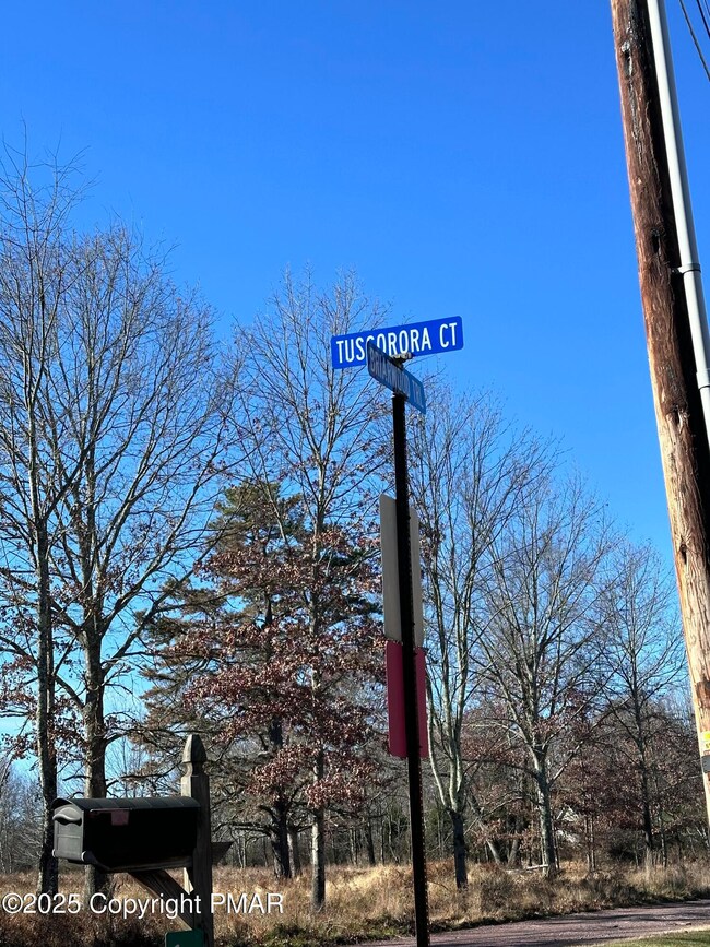 Lot 55 Tuscarora Ct, Beach Lake, PA 18405 - photo 4