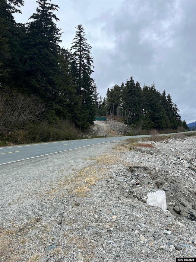 6.5 Mile Legal Address Only unit Lutak Road, Haines, AK 99827 - photo 5