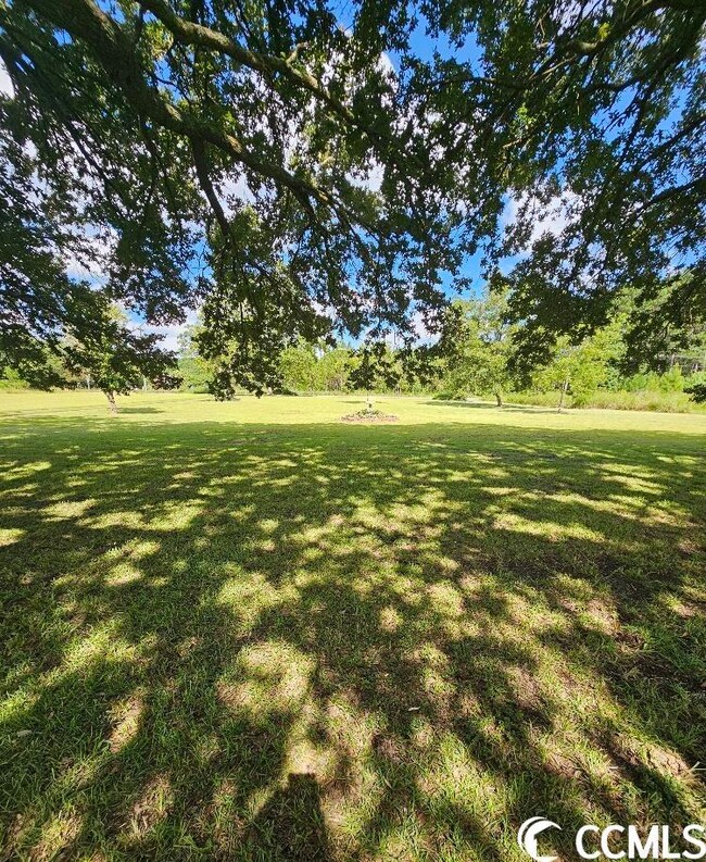 4436 Highway 19, Conway, SC 29526 - photo 3