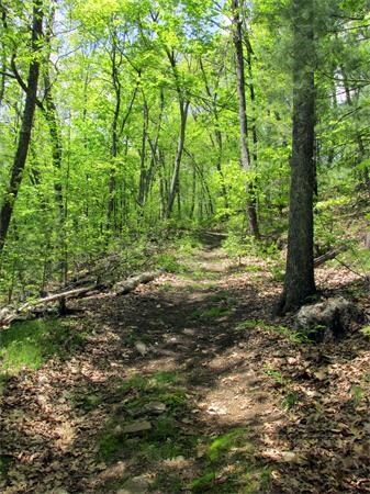 0 Cleaves Hill Rd, Harvard, MA 01451 - photo 4