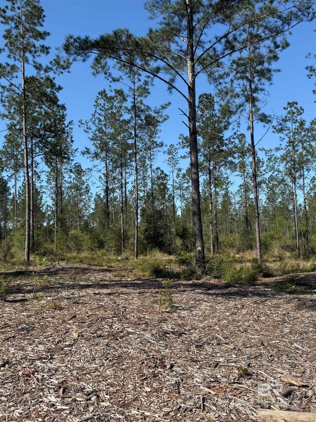 0 Timber Company Rd unit TTE Lot 5 377413, Robertsdale, AL 36567 - photo 7