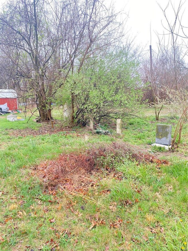 12505 County Road 8050, Rolla, MO 65401 - photo 3