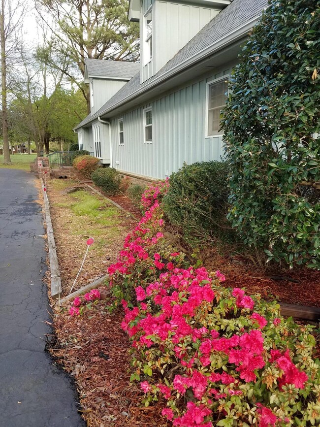 275 Flushing Cove, Hernando, MS 38632 - photo 5