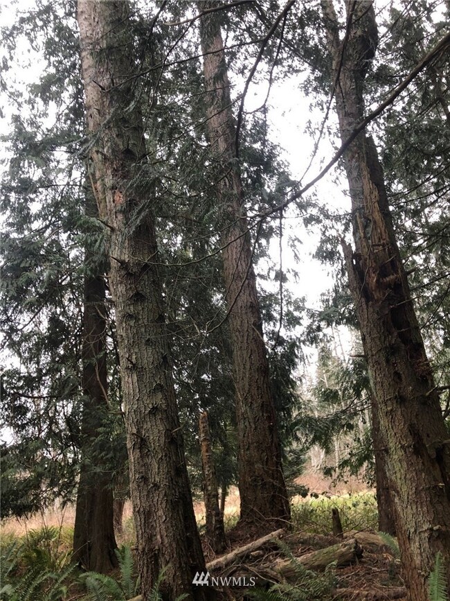 0 Lot 18 Rex St, Point Roberts, WA 98281 - photo 5