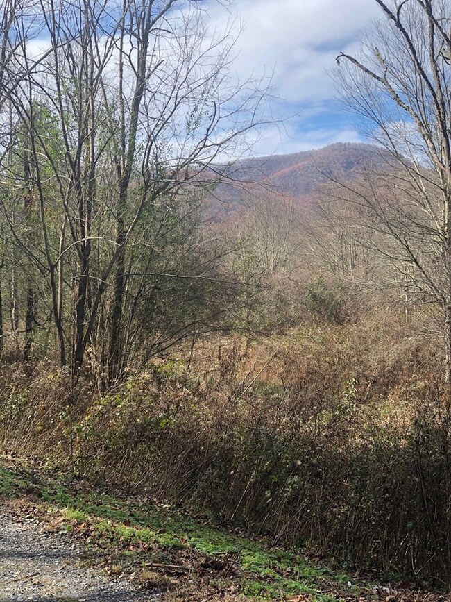 0 Rustling Woods Trail unit 26019251, Cullowhee, NC 28723 - photo 4