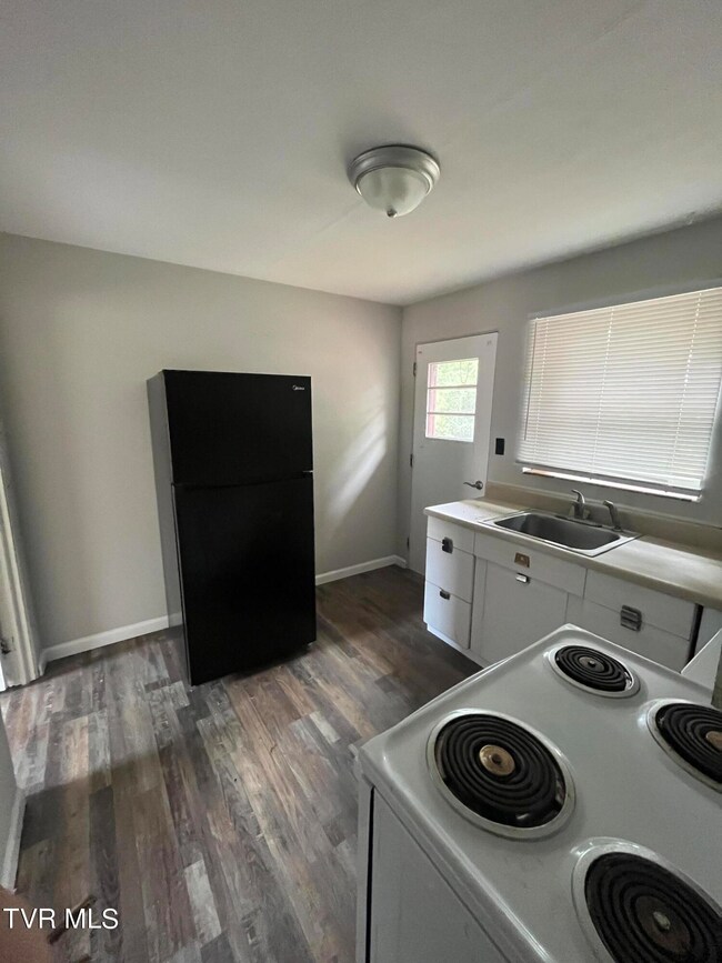 1419 E Holston Ave, Johnson City, TN 37601 - photo 4