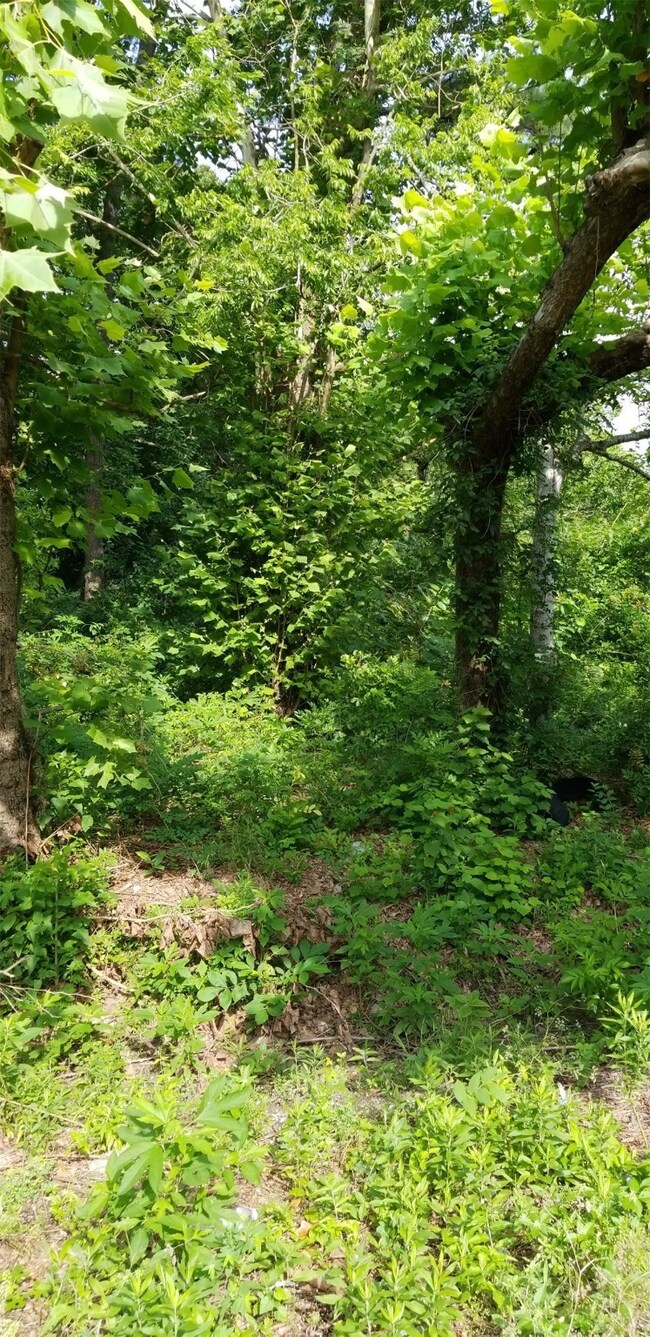 0000 Hoffman, Houston, TX 77028 - photo 2