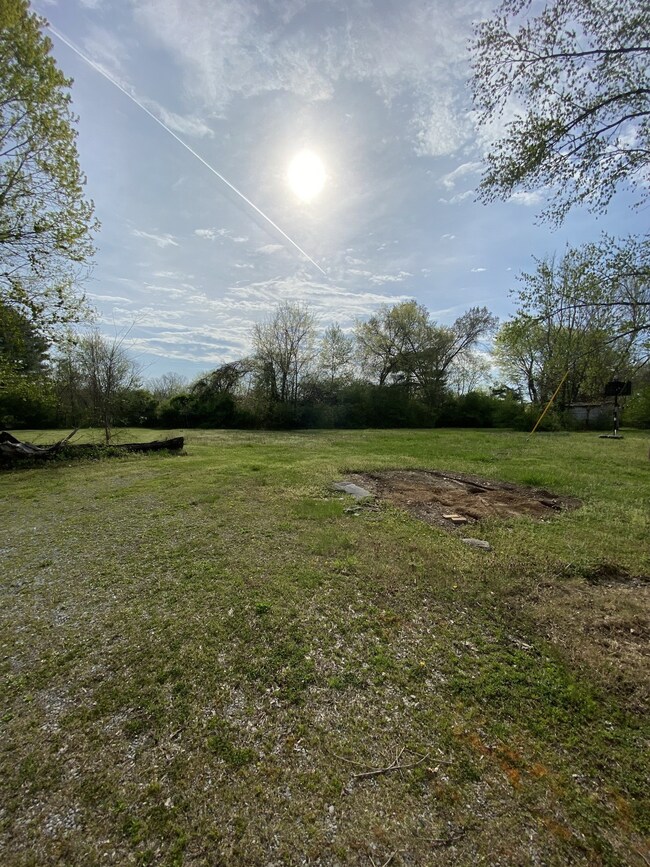 725 Gracey Ave, Clarksville, TN 37040 - photo 3