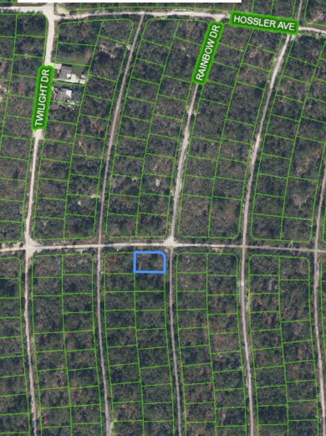 284 Rainbow Dr, Lake Placid, FL 33852 - photo 4