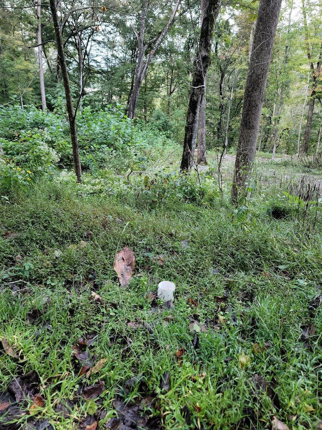 150 Punch's End, Burnside, KY 42519 - photo 2