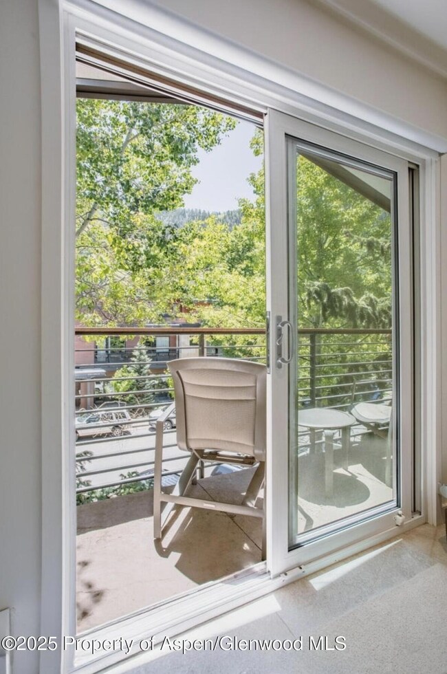 210 E Cooper Ave unit 3G, Aspen, CO 81611 - photo 3