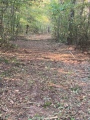 1685 Margaret, Kirbyville, TX 75956 - photo 5