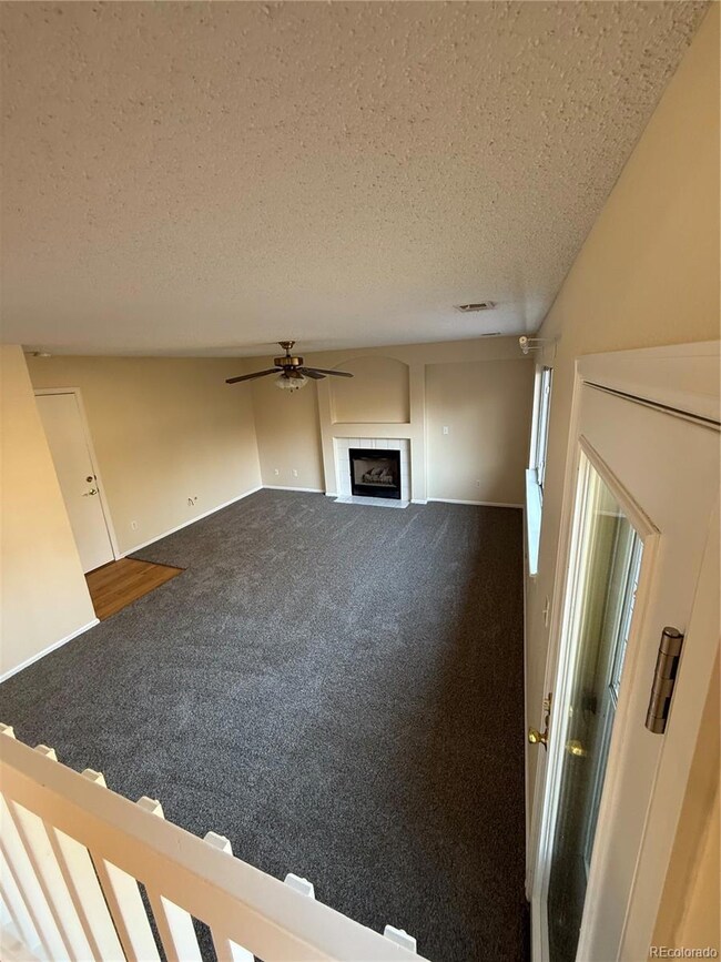 3710 Licorice Trail, Castle Rock, CO 80109 - photo 6