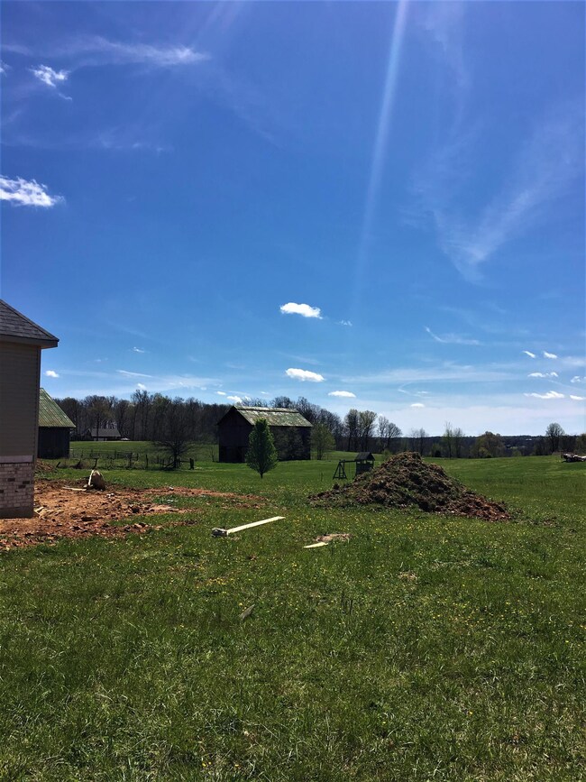 Gorgeous back yard views!