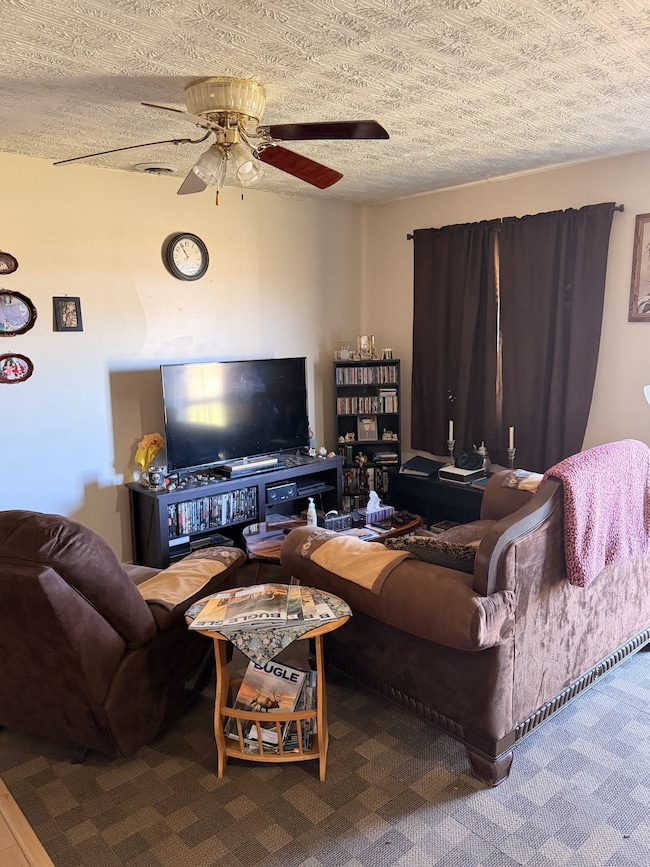 344 E Noel Dr, Cadiz, KY 42211 - photo 4