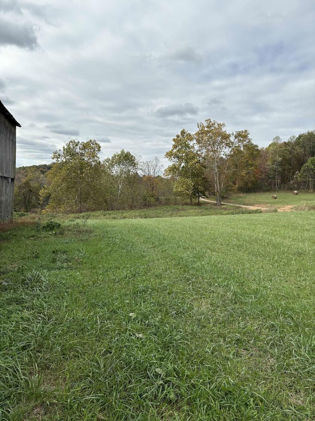 Pine Grove Ch Rd, Vanceburg, KY 41179 - photo 3