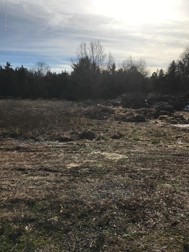 4.04 Off Nugentown Rd, Little Egg Harbor Township, NJ 08087 - photo 3