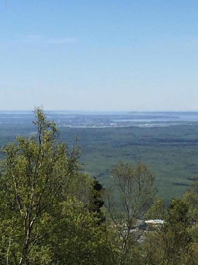 19401 Silverwood Hill Dr, Anchorage, AK 99577 - photo 4