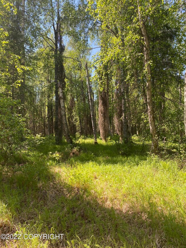 23064 W Willow Fishhook Rd, Willow, AK 99688 - photo 5