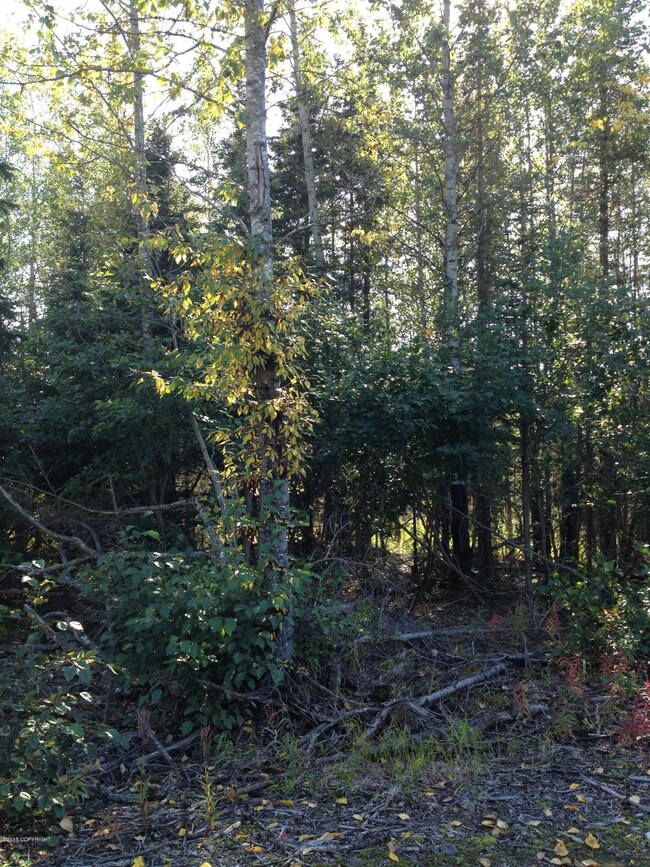 01 - Lot for sale