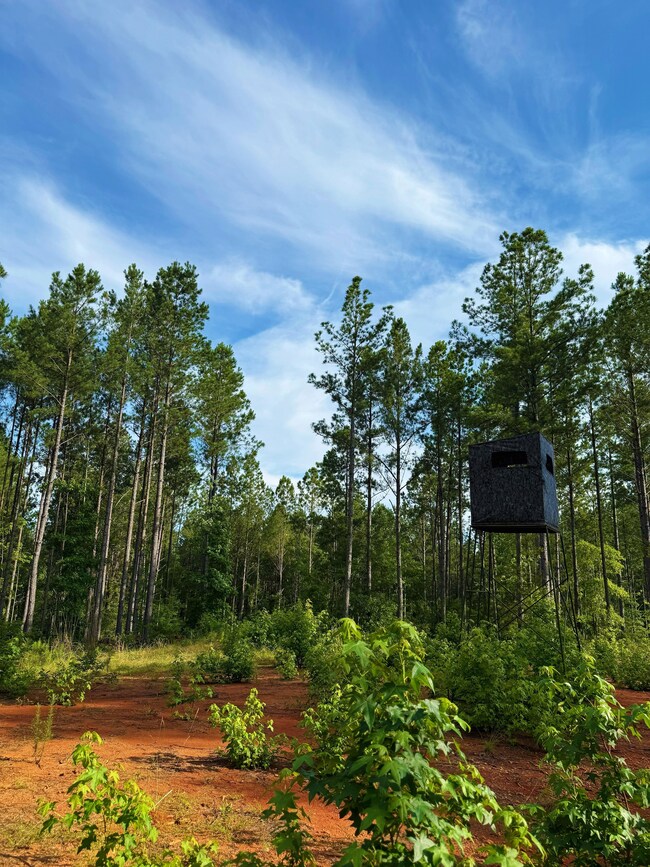 Kennedy Rd, Winnsboro, SC 29180 - photo 5