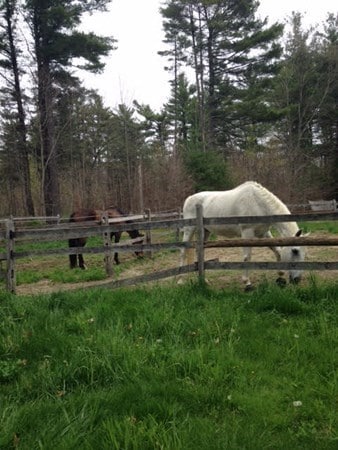 2660 West St, Wrentham, MA 02093 - photo 7