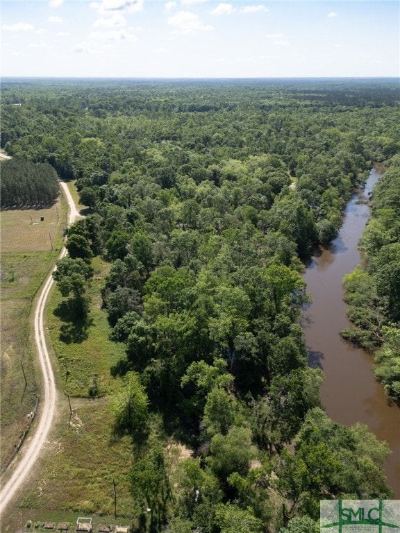 Lot 20 the River Landing Rd, Midville, GA 30441 - photo 4