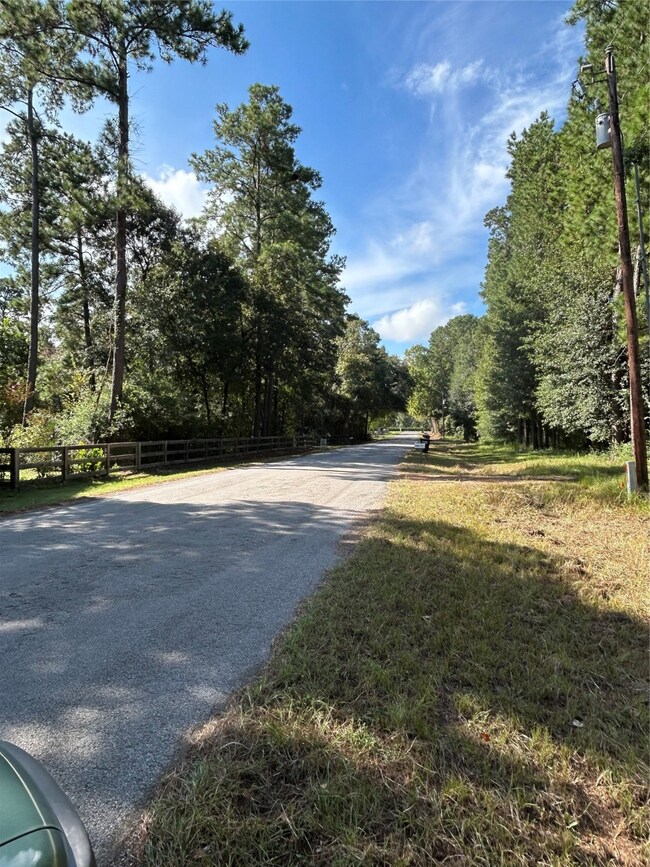 24585 Emily Way, Hockley, TX 77447 - photo 3
