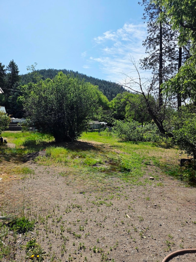 yard