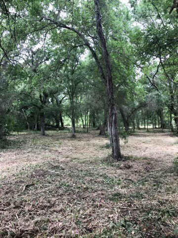 6309 Tercero, Brazoria, TX 77422 - photo 3