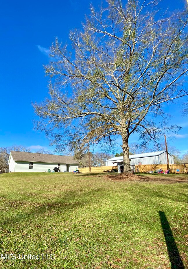 Exterior Back Yard