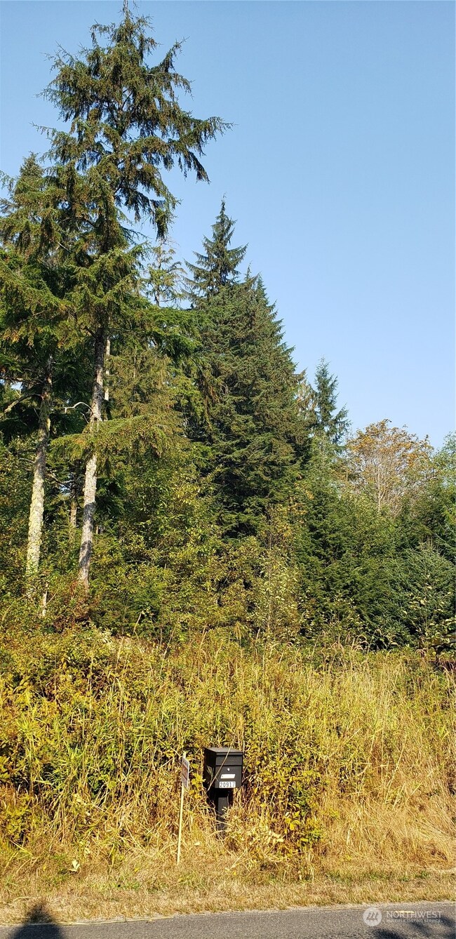 209 XX Lake Riley Rd, Arlington, WA 98223 - photo 5