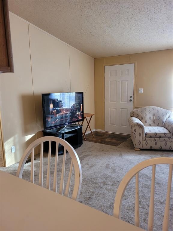 130 Kailyn Ln, Weatherford, TX 76085 - photo 6