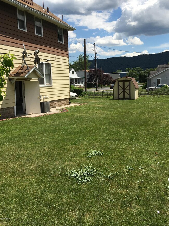 Yard