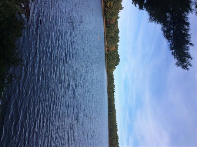 View from the edge of shore.