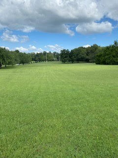 218 Brown Ln, Shelbyville, TN 37160 - photo 3