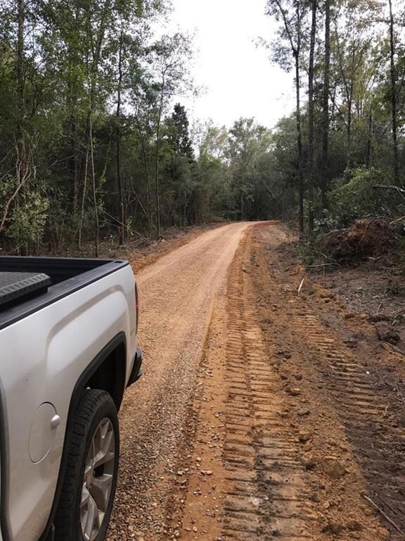 43056 Bateman Rd, Franklinton, LA 70438 - photo 3