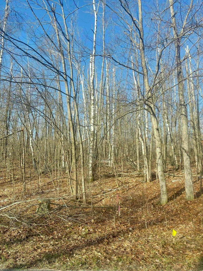 1868 Mockingbird Ln, Otsego Lake Township, MI 49735 - photo 3