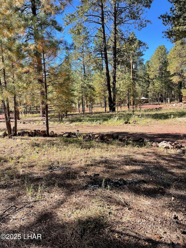 7681 E Robin Hood Rd, Williams, AZ 86046 - photo 4