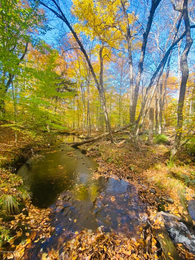 0 Mohican Rd unit PM-77144, Canadensis, PA 18325 - photo 7