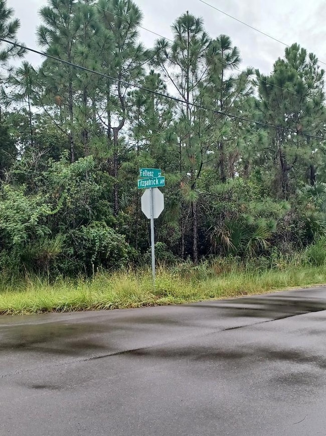 none Fellenz St Sw Fitpatrick Ave SW, Palm Bay, FL 32908 - photo 2