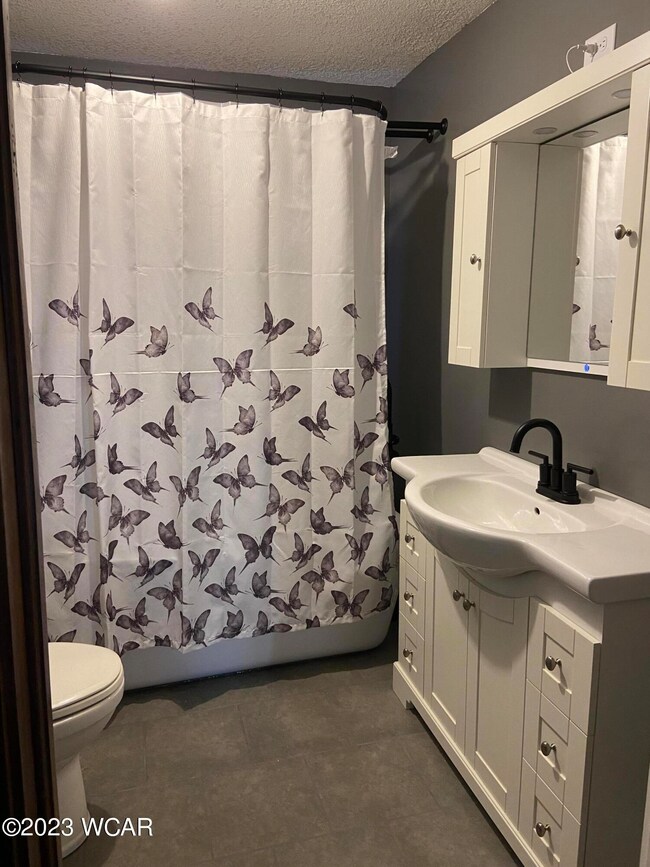 208 N Westminster St, Waynesfield, OH 45896 - photo 3