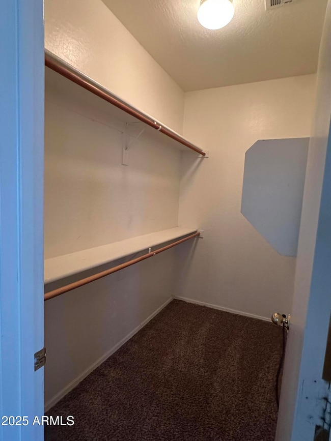 Primary Closet