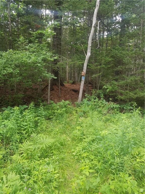 Existing hiking path on parcel