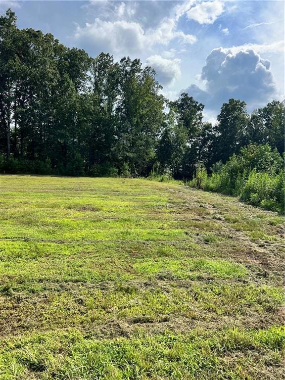 1004 Crossroads Trail, Milton, GA 30004 - photo 2