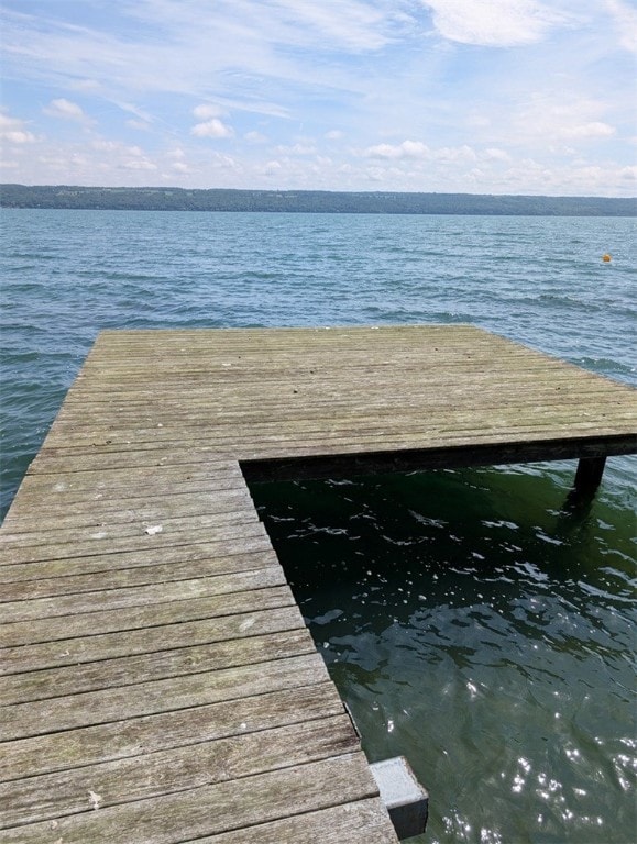 8447 Bergen Beach Rd, Covert, NY 14847 - photo 4