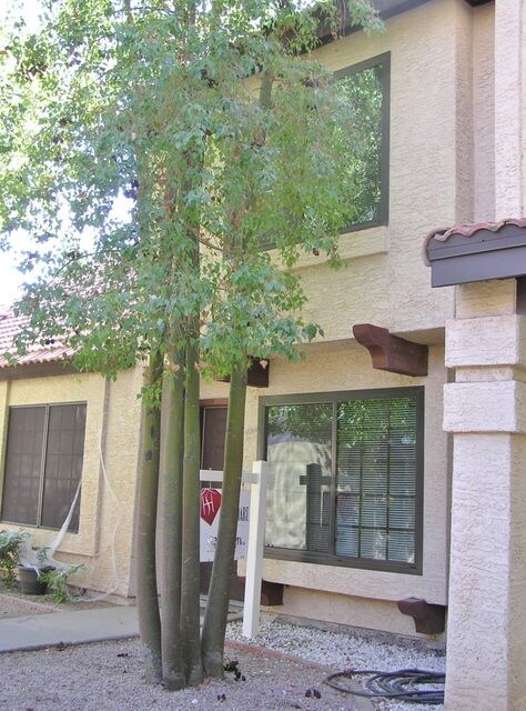 FRONT OF THE HOME