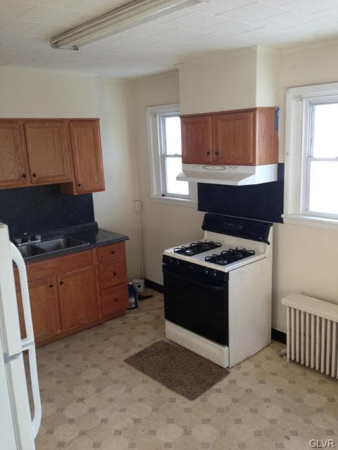 718 Wyandotte St, Bethlehem, PA 18015 - photo 7