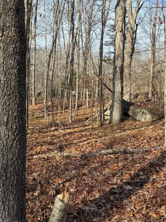 0 Huntinghouse Rd unit 1401585, Glocester, RI 02859 - photo 7